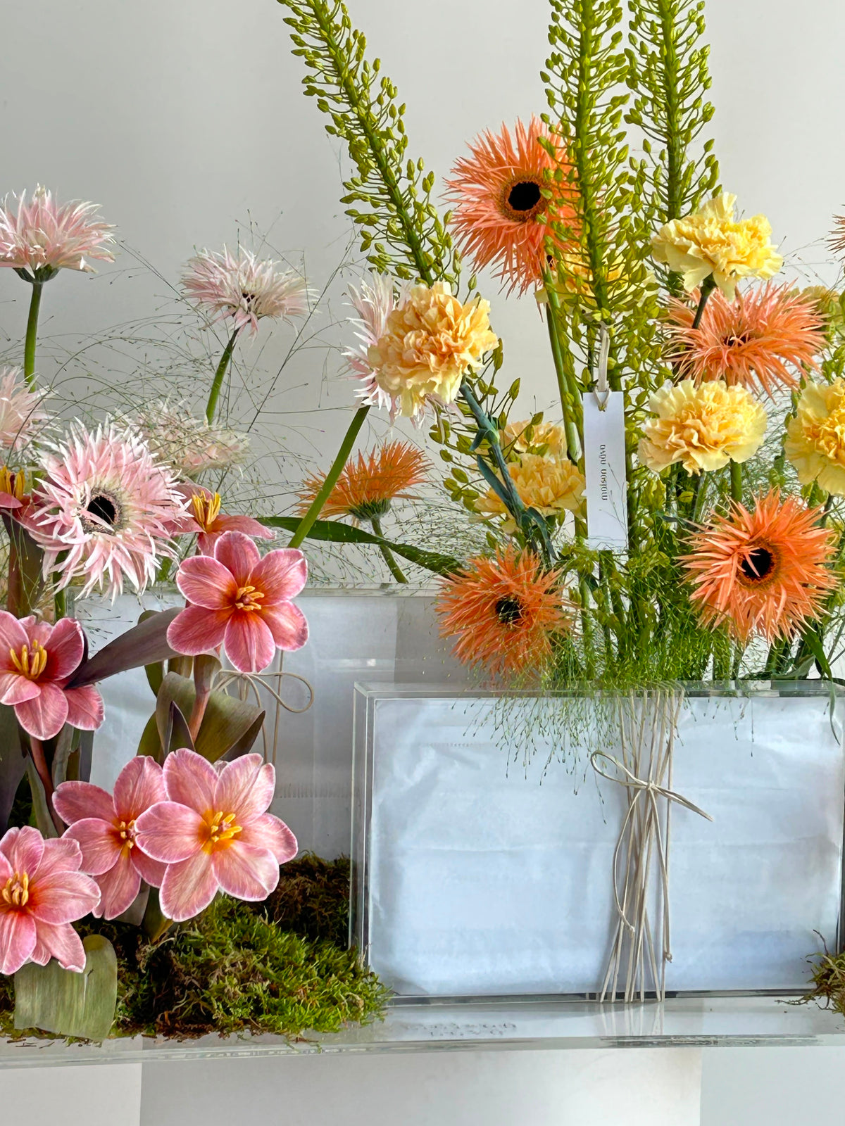 The Madeira × Maison Nãva Gift Edit | Gifting Collection