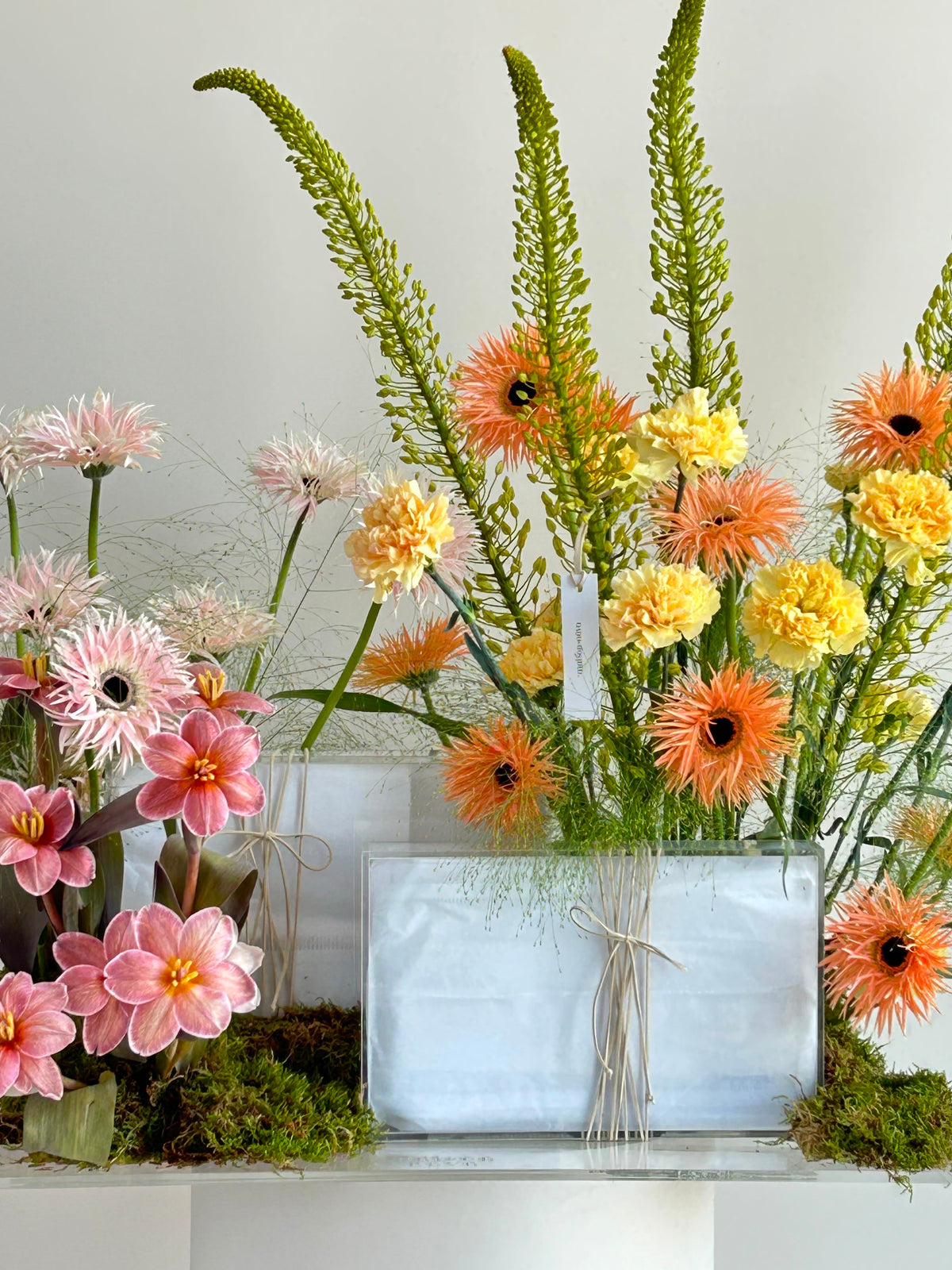 The Madeira × Maison Nãva Gift Edit | Gifting Collection