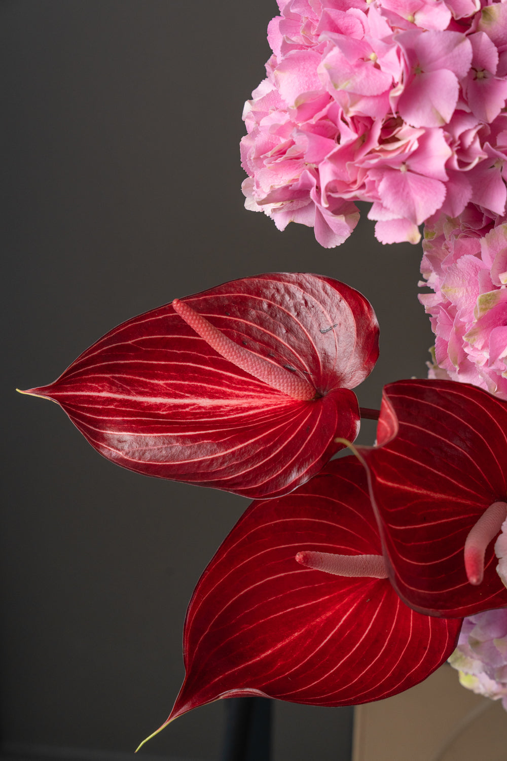 True Love Bloom