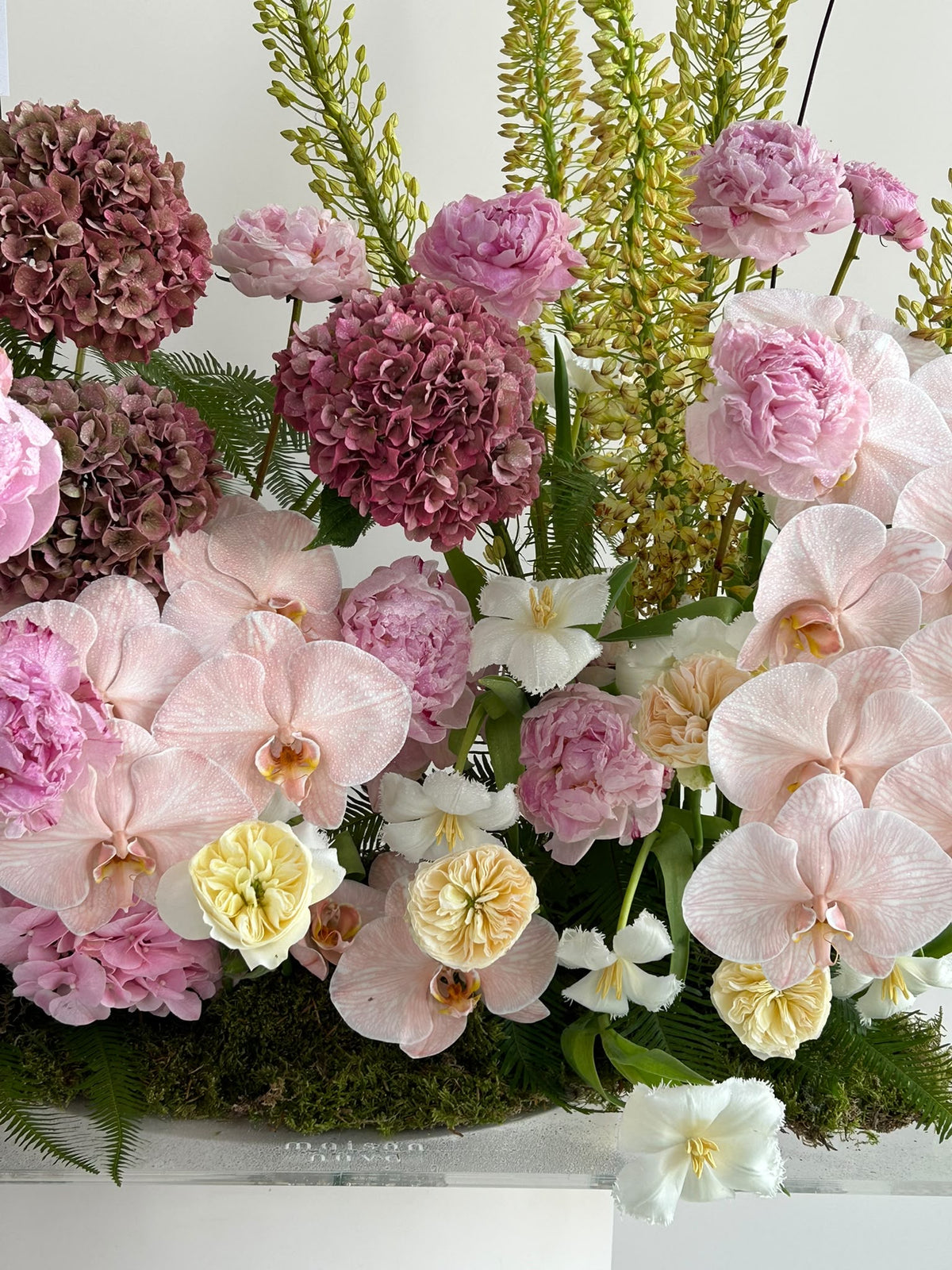 Lush Garden